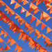 Koninginnedag 2013