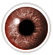 Brown coloured contact lenses