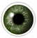 Green coloured contact lenses