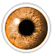 Hazel coloured contact lenses