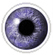 Violet coloured contact lenses