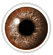 Brown coloured contact lenses