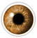 Hazel coloured contact lenses